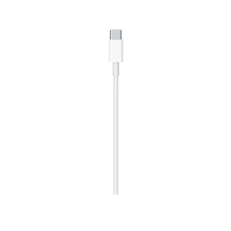 Cable Para Carga USB-C - Imagen 2