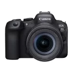 EOS R6 Mark II | 24-105mm STM | Mirrorless | Full Frame