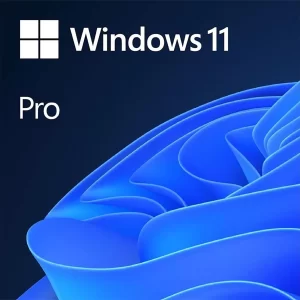 Windows 11 Pro - ESD, 64 Bit, licencia permanente